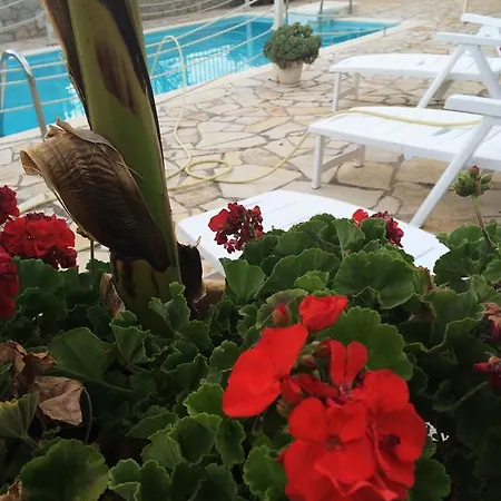 Kassandra Nafplio