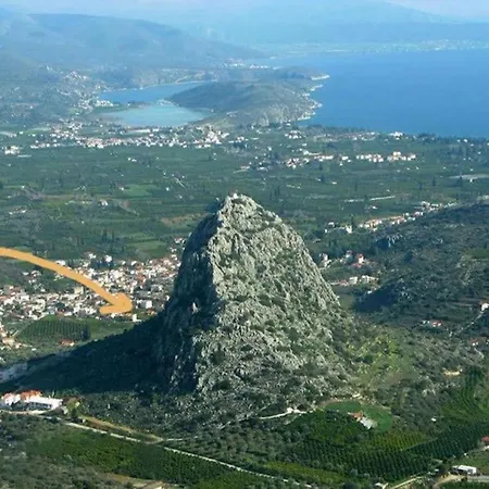 Kassandra *